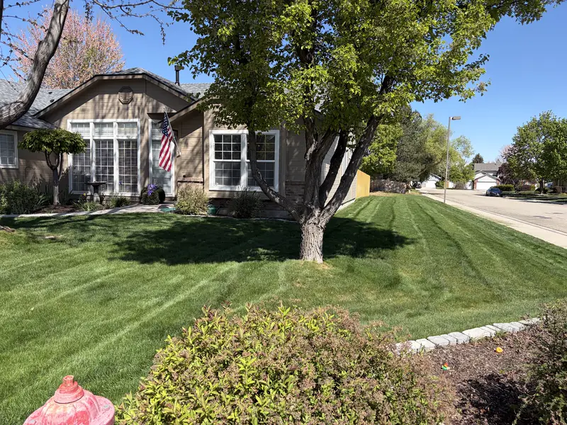 A front yard with a shade tree and a fresh cut lawn