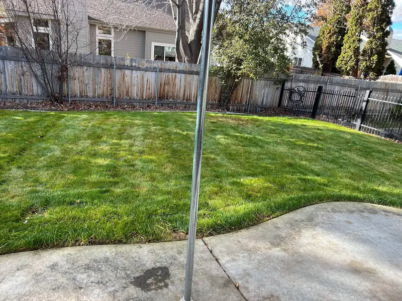 After: the same backyard, leaves cleared and lawn mowed