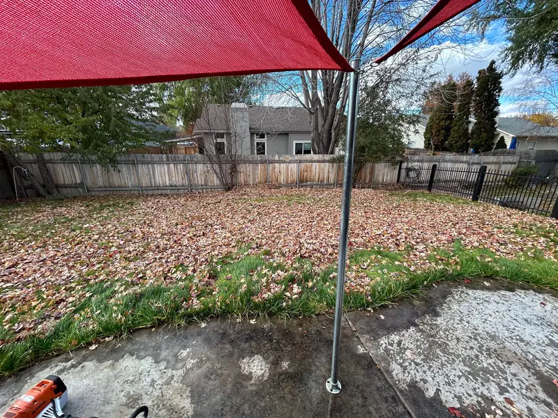 Fall leaves covering a backyard lawn