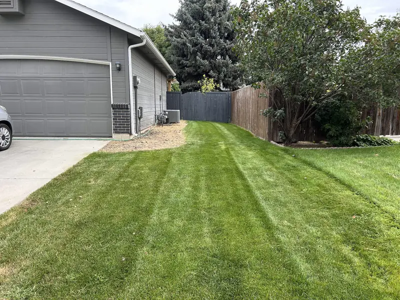 A side yard mowed in stripes next to a driveway